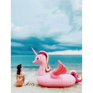 PHAO BƠI KHỔNG LỒ KÌ LÂN HỒNG KÈM BƠM ĐIỆN