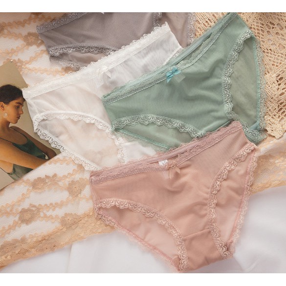 Quần lót cotton Hàn Quốc cute nhiều màu sắc