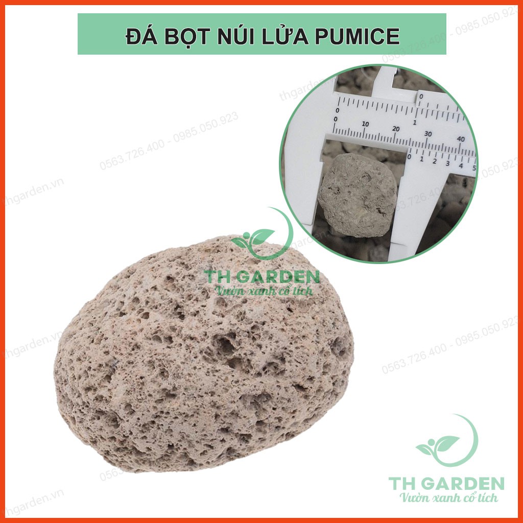 Đá Bọt Trồng Lan Pumice  - Nhẹ Thoáng, Giữ Ẩm Tốt - Giá Thể Trồng Lan, Sen Đá, Cây Cảnh ...