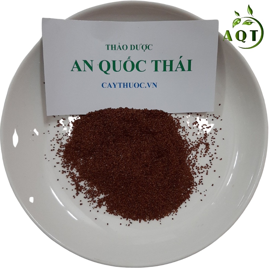 500g Hạt Đình Lịch (Bình Lịch, Hột Lịch) Đắp Mặt Nạ Hút Cùi Mụn, Hạt To, Sạch, Nở Đều