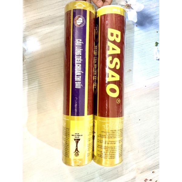 Sét 10 quả cầu lông 3sao