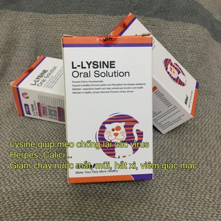 COMBO Lysine, Taurine uống và Nhỏ mắt mũi cho mèo viêm loét giác mạc, xổ mũi