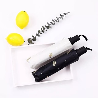 combo ô cho sỉ 5 ô