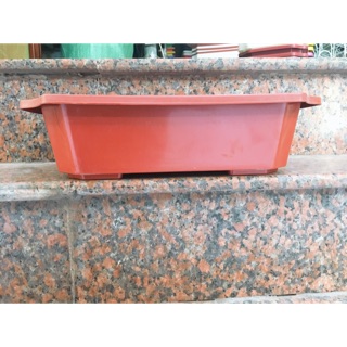 Chậu Ang trồng cây