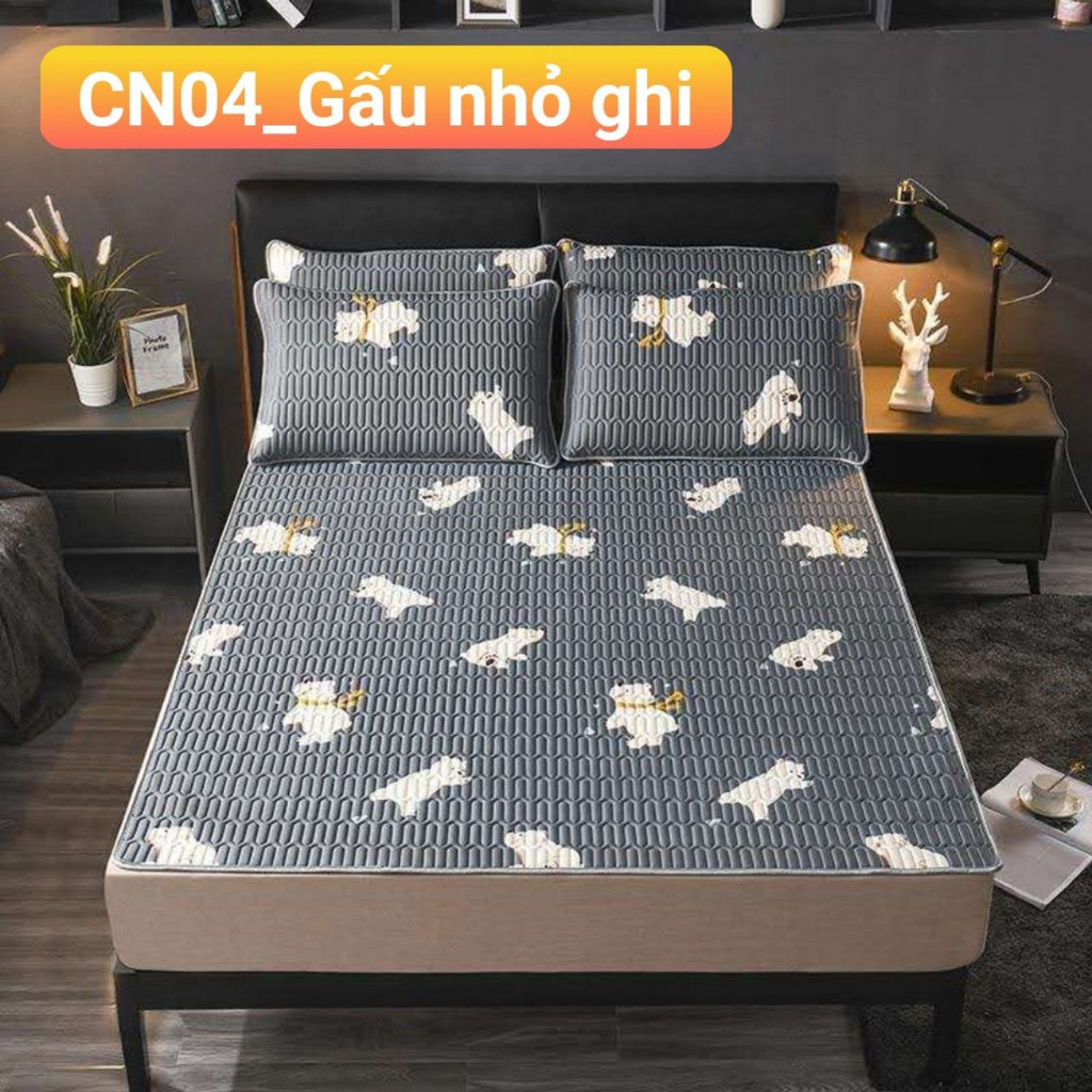 Chiếu điều hòa tencel,chiếu cao su non 2D,mẫu mưa hoa xanh