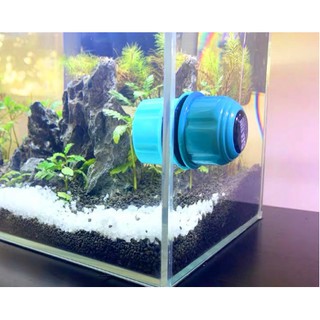 Cọ Bể Nam Châm Mini- Cọ Bể Cá Thông Minh