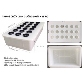 Combo 5 thùng thủy canh tĩnh 18 lỗ