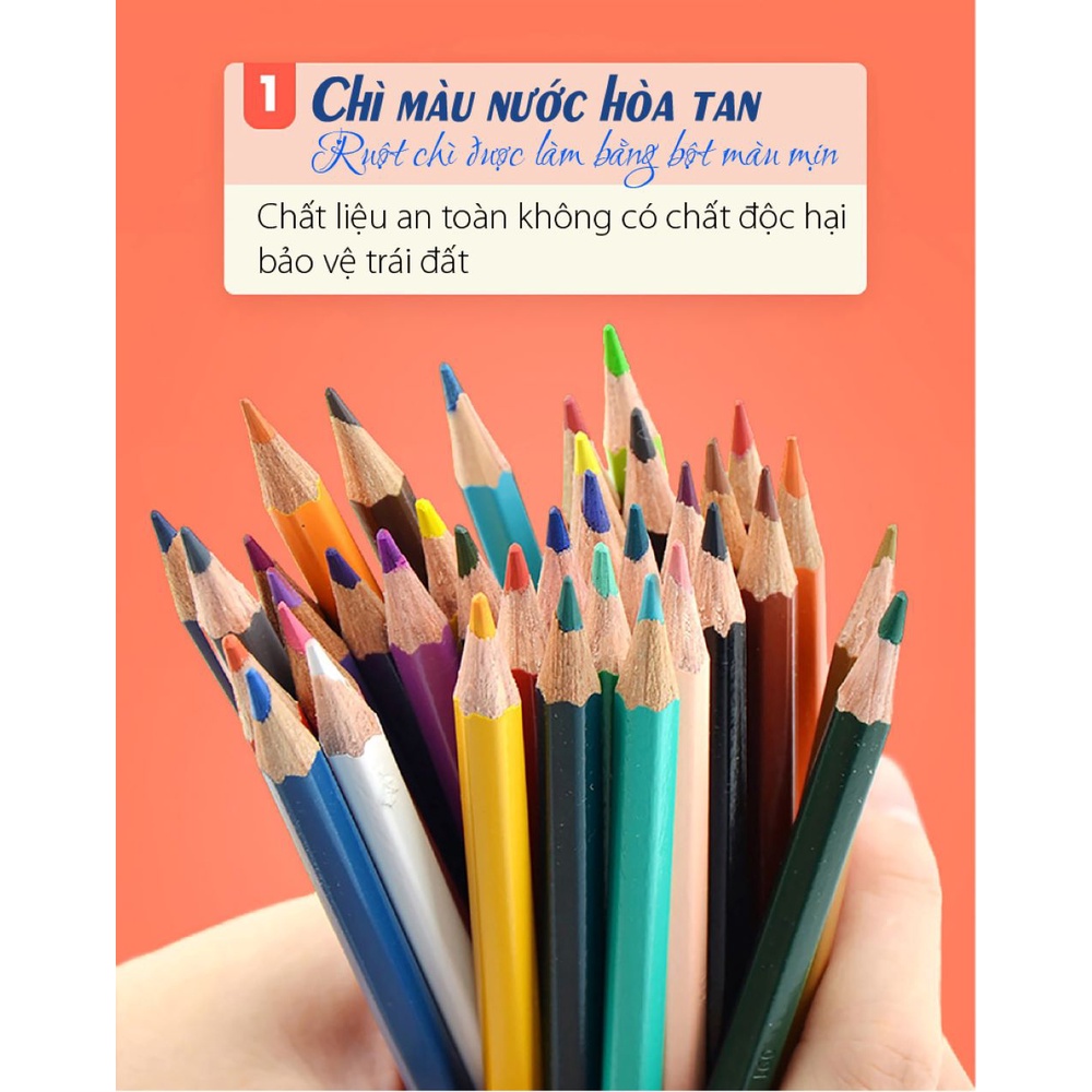 Combo Hộp 36 chì màu nước STABILOaquacolor