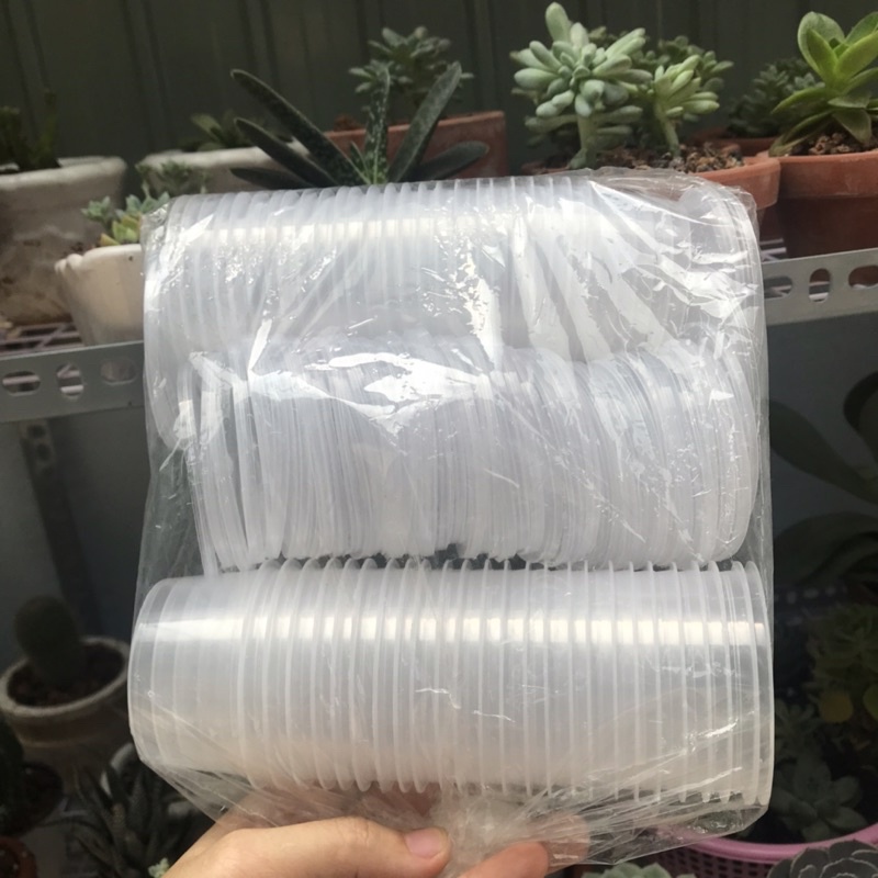 Hũ bánh flan/hộp bánh flan 50hũ kèm nắp