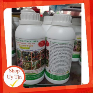 NANO ĐỒNG OXYCLORUA 500ML