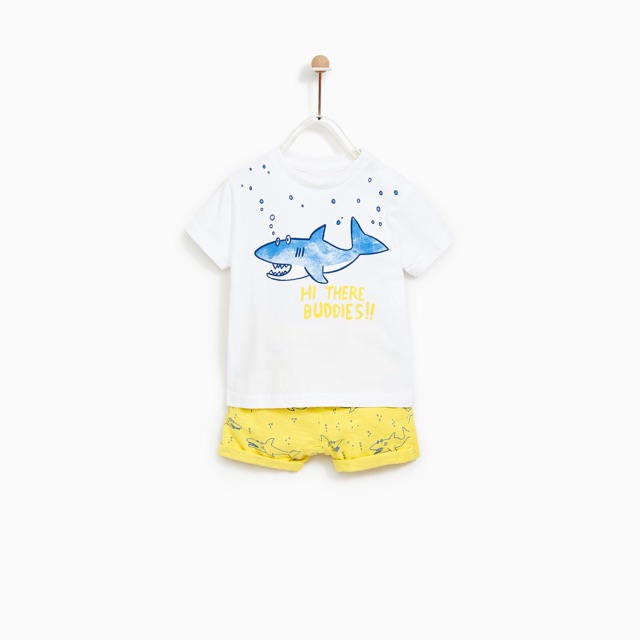 Bộ zara cá mập