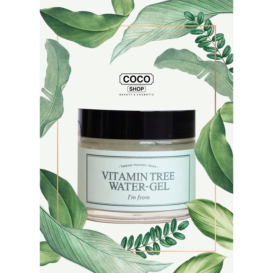 Gel Dưỡng Ẩm Vitamin Tree Water Gel - I'm From-[Coco Shop]