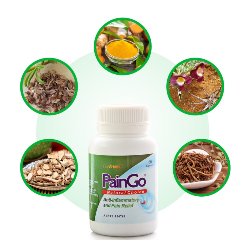 Paingo - Giảm đau nhức