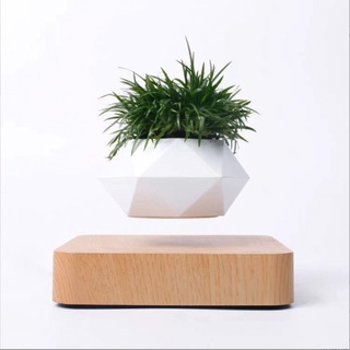 Chậu Cây Bay điện 220V BonSai Zero W Design ☘️☘️
