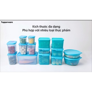 NEW 2021 - Bộ hộp trữ đông và mát Blue Ocean 15 hộp