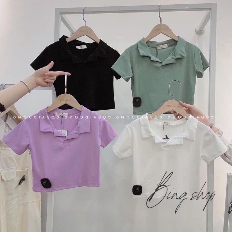 Áo croptop nữ Bingshop - áo croptop polo Unisex cộc tay nhiều màu vải đẹp