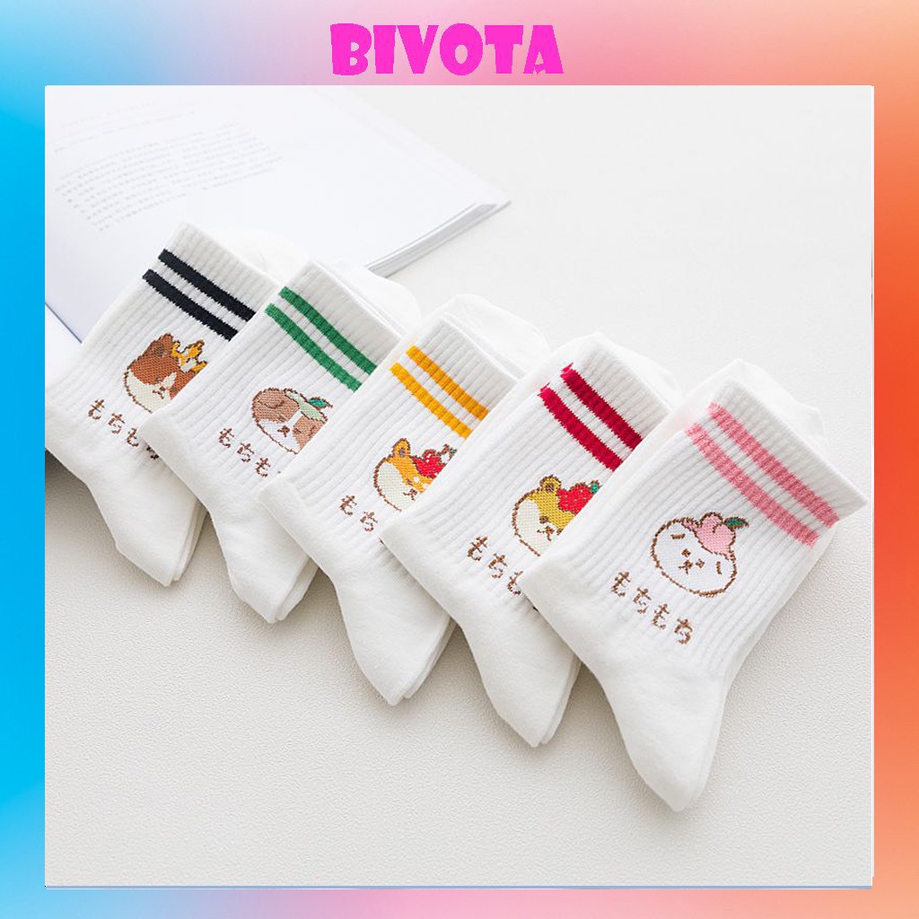 Set 5 đôi tất cổ cao Bivota vớ nữ trắng hàn quốc cún con đáng yêu T39