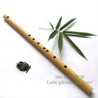 Sáo dọc HCM8