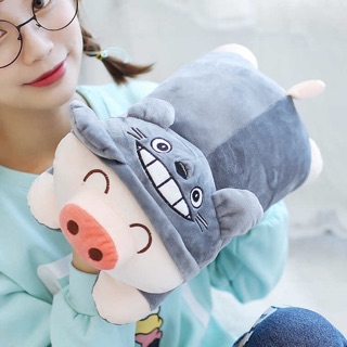 Túi sưởi lợn con