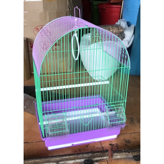 lồng finch, 7 màu, yến hót và các dòng vẹt nhỏ, vẹt baby, yến phụng,