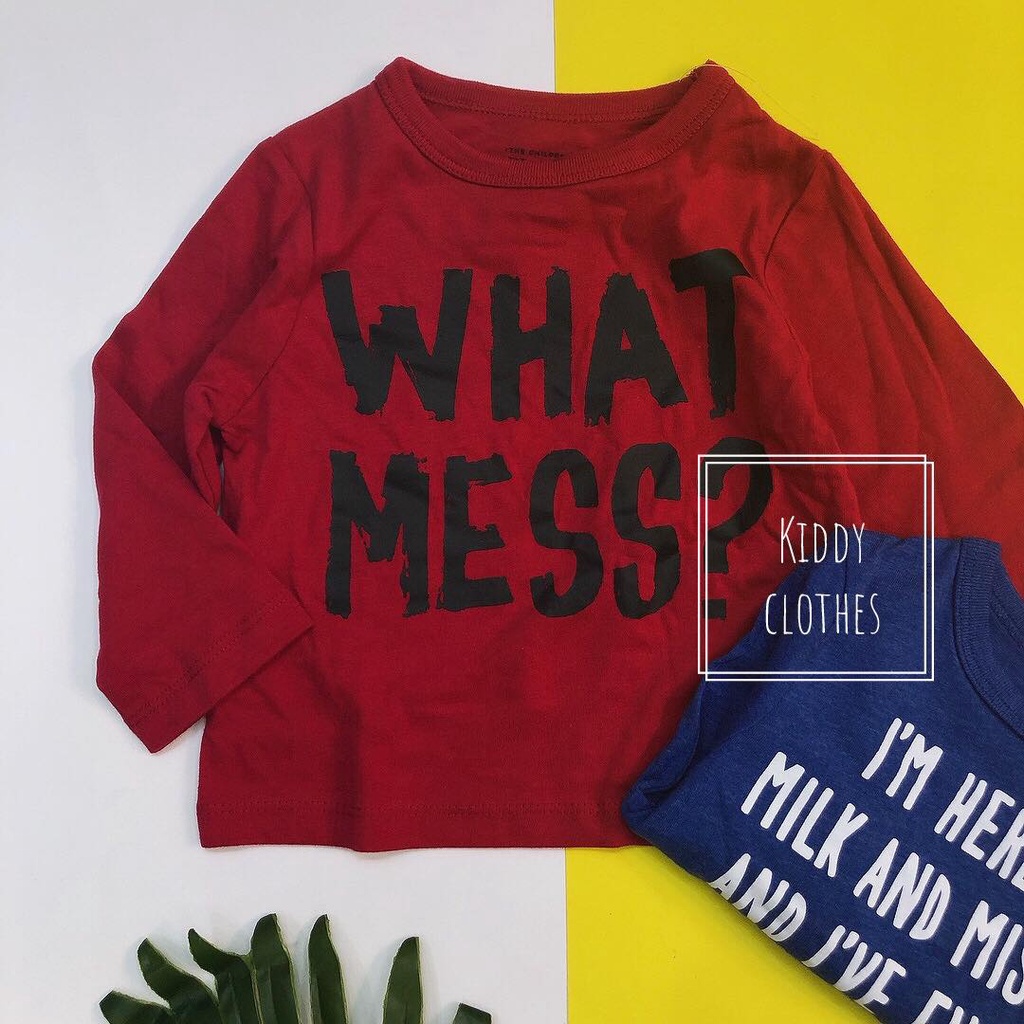 Áo tay dài cotton xuất dư bé trai hình in nhiều mẫu/Áo thun tay dài bé trai chất cotton dư xịn