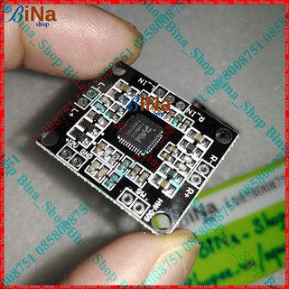 Modul Khuếch Đại Âm Thanh dùng IC PAM8610