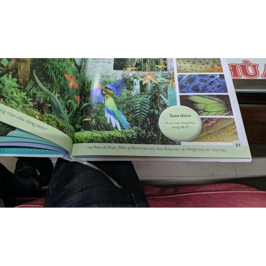 Sách - Bách Khoa Cho Trẻ Em - Bách Khoa Tự Nhiên | BigBuy360 - bigbuy360.vn