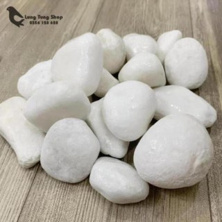 [ Nhiều size ] Đá sỏi trắng trang trí ( chọn size )