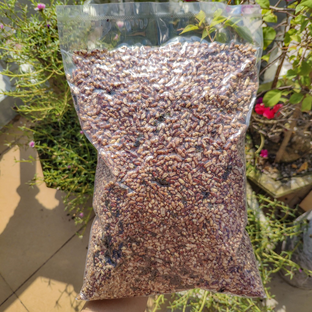Gạo lứt sấy rong biển❤️(Túi Hút Chân Không 500G), Gạo lứt sấy chính hãng NuttyOne ,siêu giòn cho người ăn kiêng.
