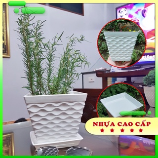 Chậu nhựa trắng cao cấp - Chậu nhựa dày - Chậu nhựa với hoa tiết lượn sóng
