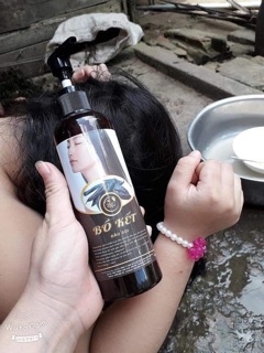 Dầu gội bồ kết