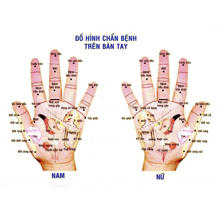 COMBO 2 quả bi lăn tay Mát xa Gỗ hương đỏ (đủ Size) giúp chống mỏi toàn diện [MH880]