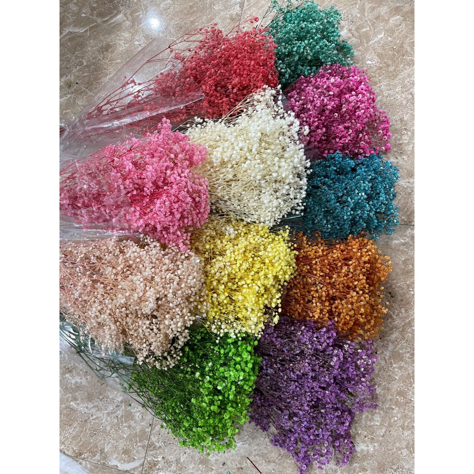 Hoa Baby tự nhiên sấy khô ướp màu dùng trang trí nhà