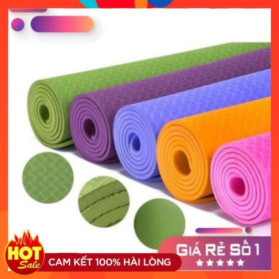 [FreeShip - Loại 1 Tốt Nhất] Thảm Yoga - Thảm Tập Yoga  TPE Dày 2 Lớp - Đồ Gia Dụng Thông Minh