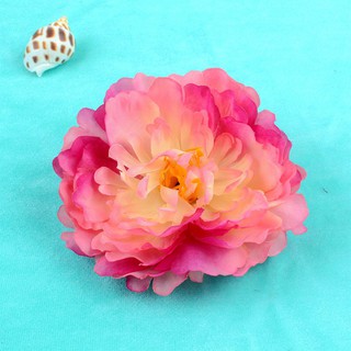 Mẫu đơn 12cm