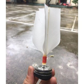 Cầu đá trinh sắt lông gà mượt đẹp