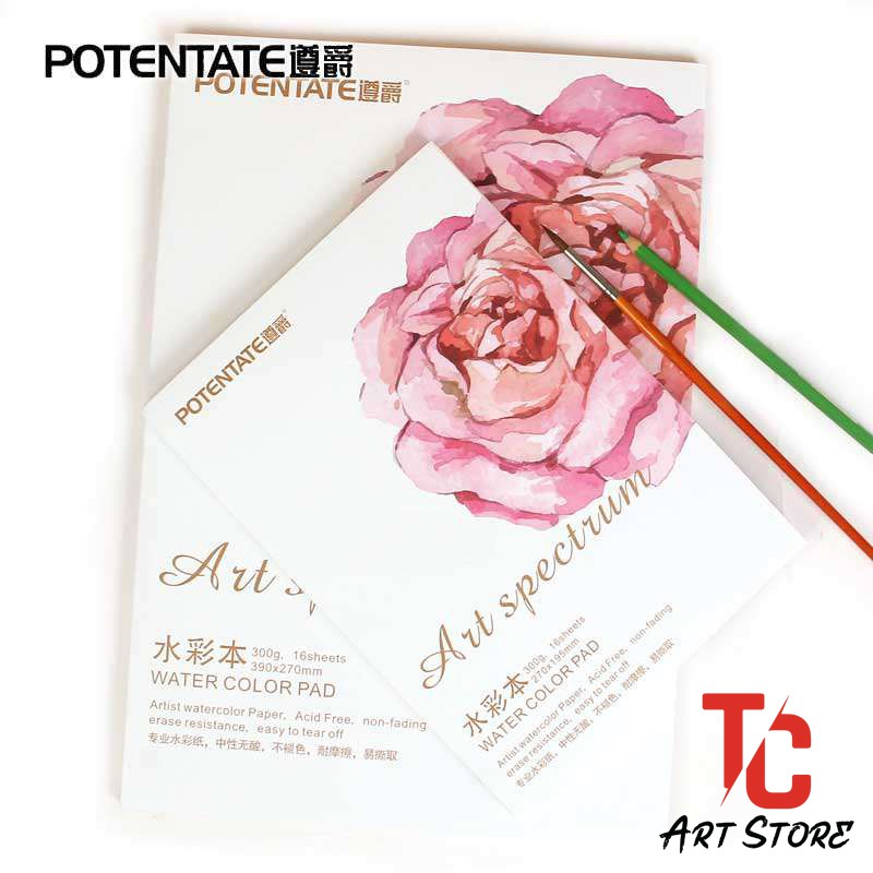 Pad Canson A3/A4/A5 300gsm - Vân Cold Vẽ Màu Nước Potentate Cao Cấp - 16 Tờ - Hoa Hồng  [TC ART ]