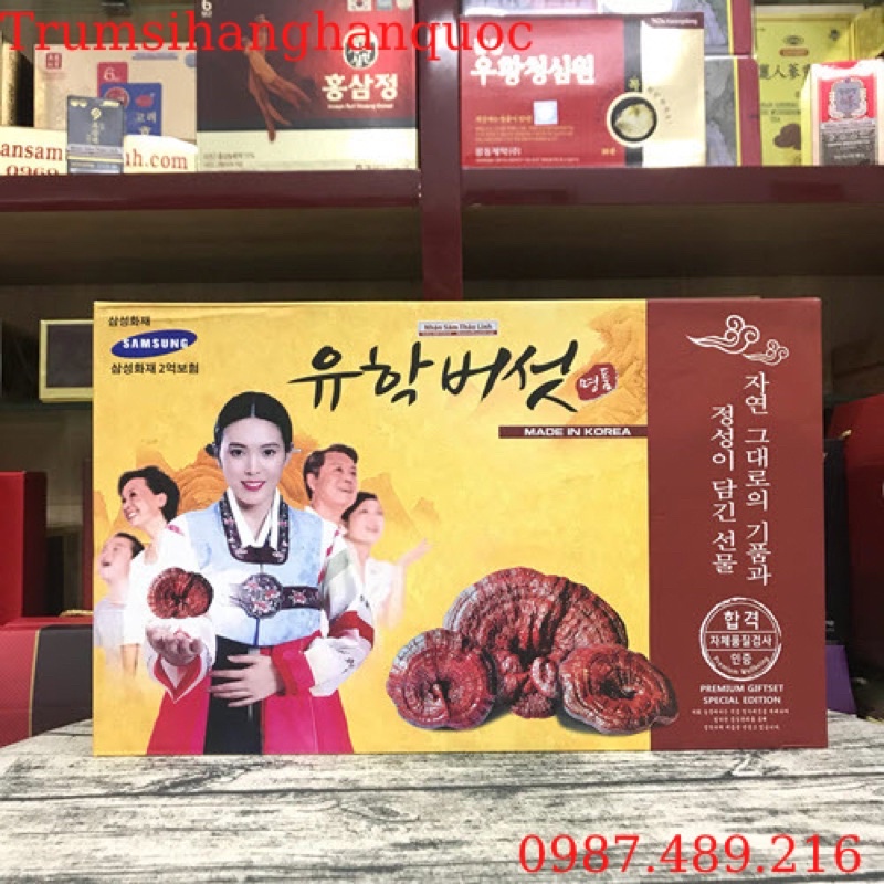 NẤM LINH CHI ĐỎ HÀN QUỐC HỘP CÔ GÁI 1KG [ HỘP QUÀ SANG TRONG ]