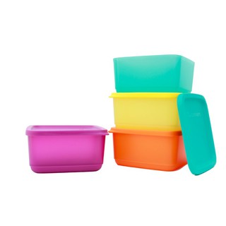Bộ 4 Hộp Bảo Quản Thực phẩm Small Summer Fresh