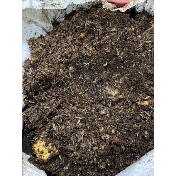 1KG Giá Thể Trồng Hương Thảo, Bạc Hà, Dâu Tây và Gia Vị Tây - ĐẤT TRỘN TỐT CHO CÂY TRỒNG