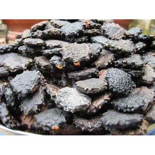 Hạt gấc khô- hạt gấc nếp ta khô chưa rang