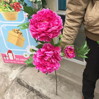Hoa Giả Hoa Lụa Mẫu Đơn