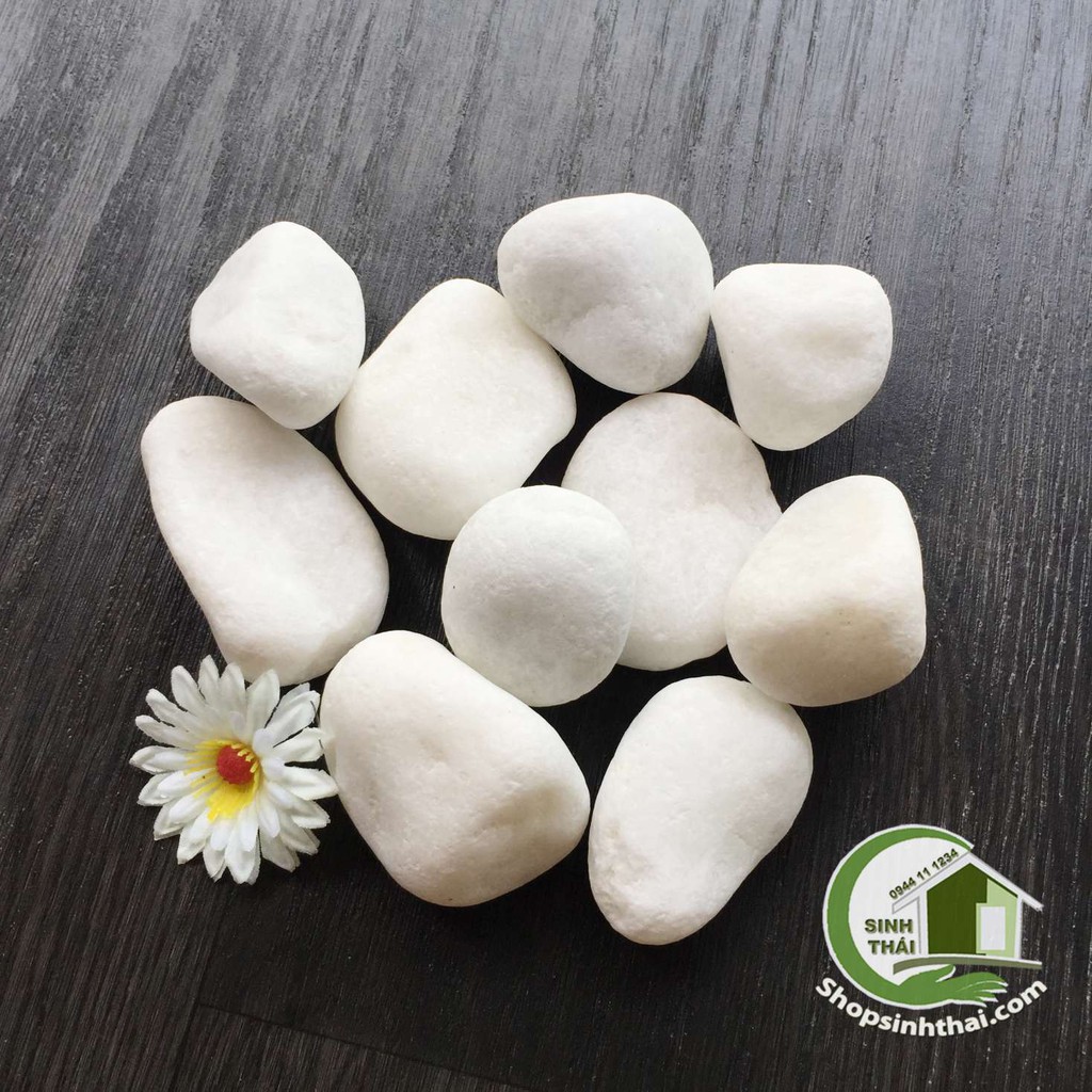 1kg đá sỏi trắng viên lớn, cỡ đại trang trí sân vườn, bể cá, chậu cây, chặn giấy trên bàn