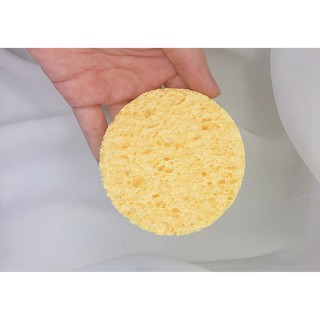 Miếng rửa mặt bọt biển Cellulose tự nhiên