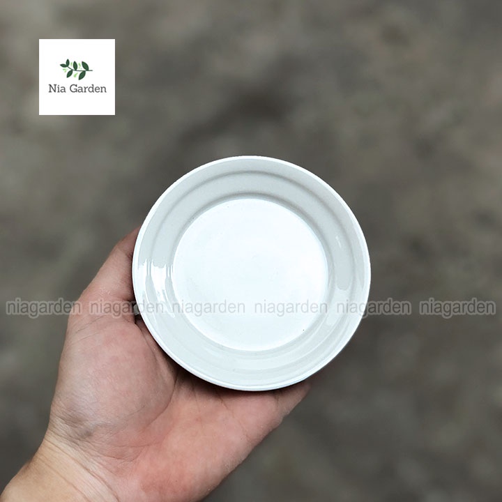 Đĩa lót chậu cây sứ trắng tròn 9cm - N6