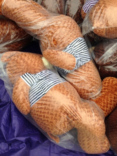 Teddy khổ vải m8