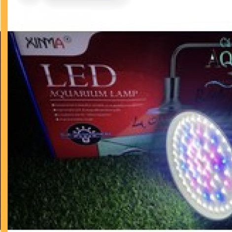Đèn Led Đĩa Kẹp Xima 40w Ánh Sáng RGB cho bể Thủy Sinh, Bán Cạn