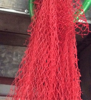 2 rẻ rửa bát