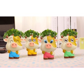 Chậu hoa mini để bàn hình heo