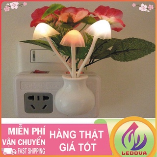 Đèn Ngủ Hình Nấm Và Hình Hoa Tự Động BậtTắt, Cảm Biến Ánh Sáng